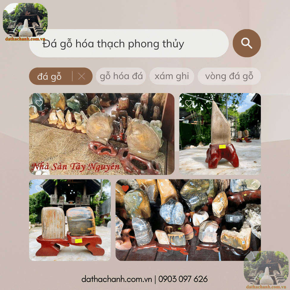 tru-da-go-hoa-thach-tu-nhien-phong-thuy đá gỗ hóa thạch
