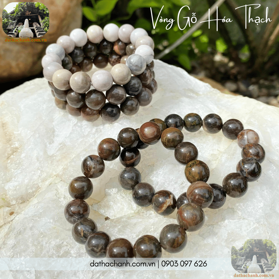 vong-go-hoa-thach Vòng gỗ hóa thạch